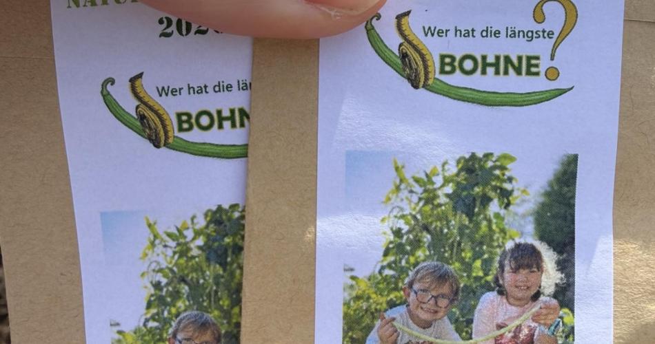 Bohne
